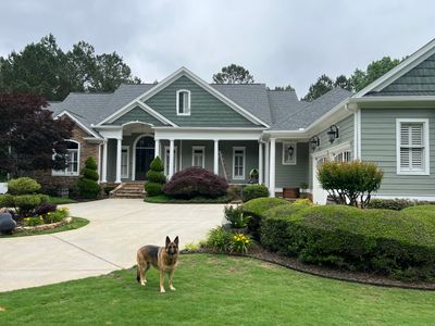 Sage Green Exterior House Painting and Trim Refresh in McDonough