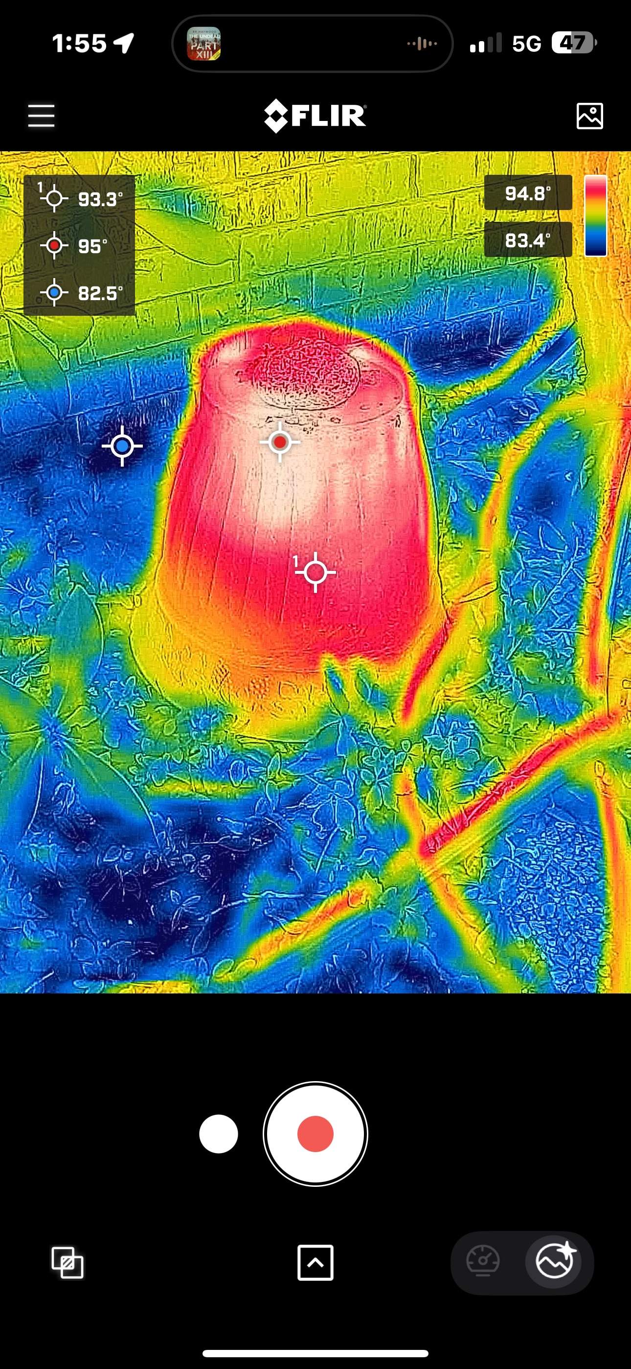 Water Spigot Swarm by Rockwall Honey Bee Company