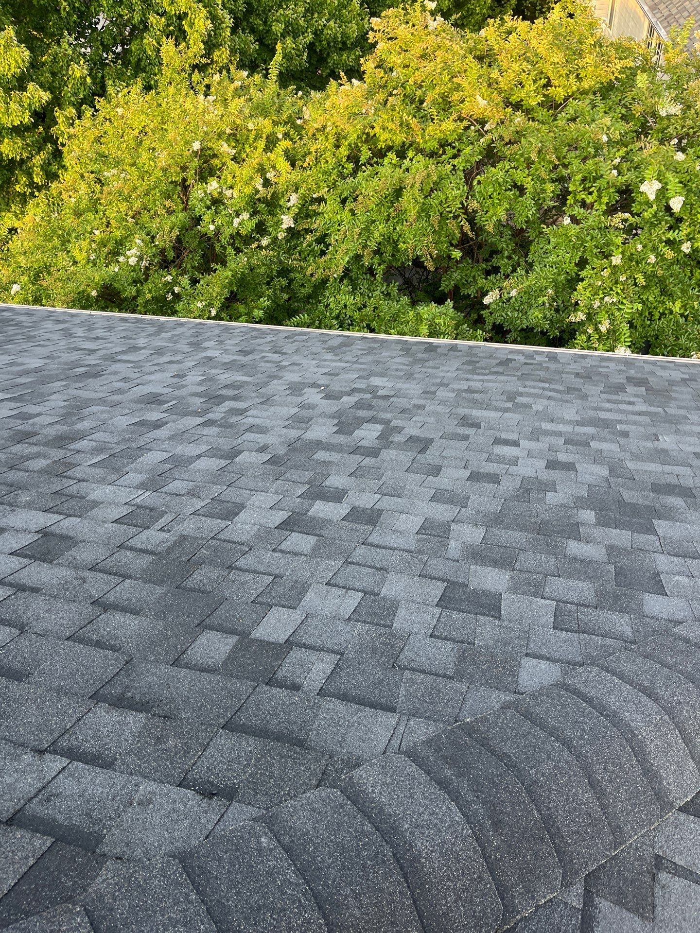 McLean: Residential Roof Installation with Landmark Pro Designer Shingles in Max Def Moire Black by RM Banning, Inc.