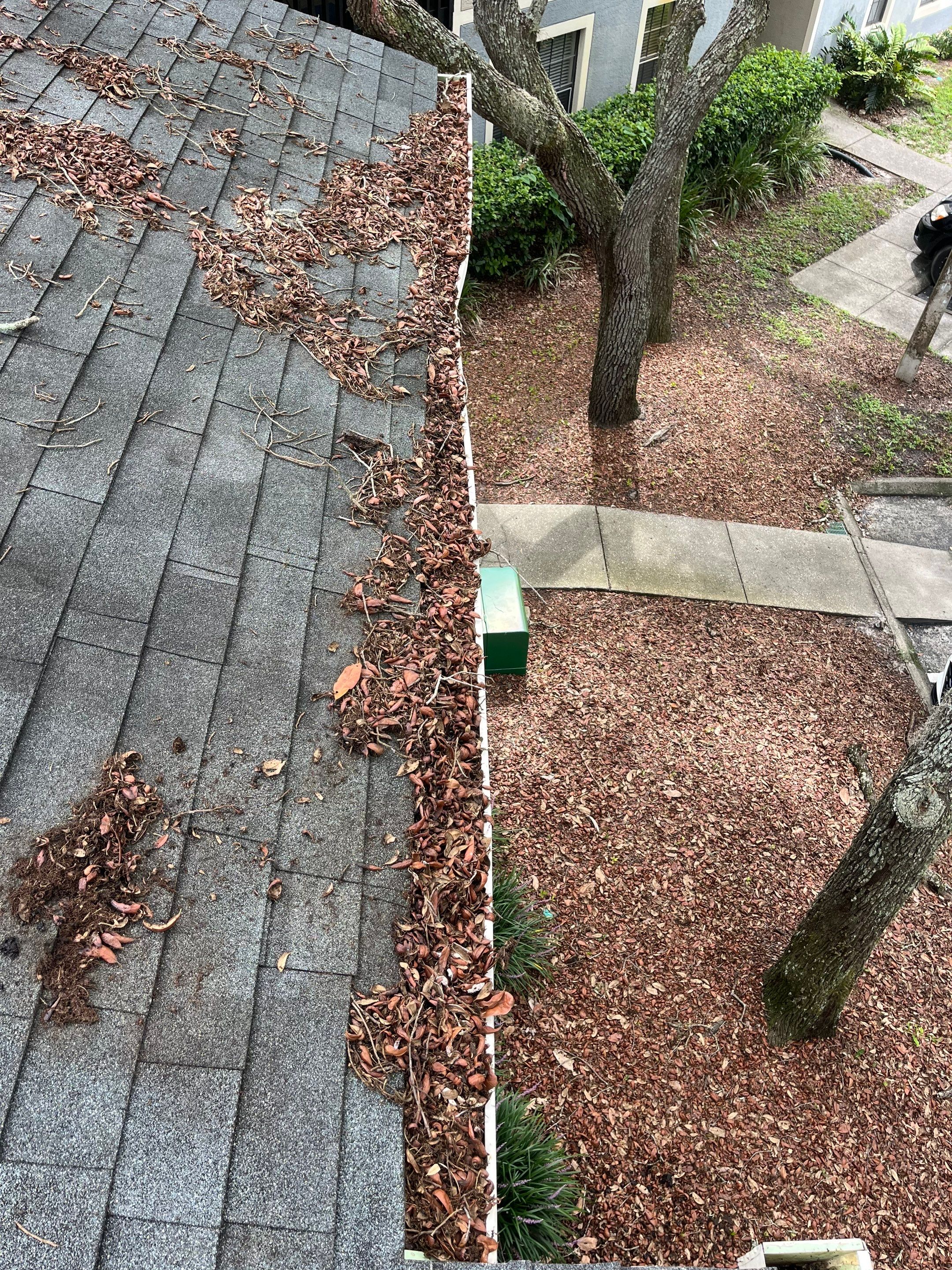 Lutz gutter cleaning job all gutters filles with leaf at residential location