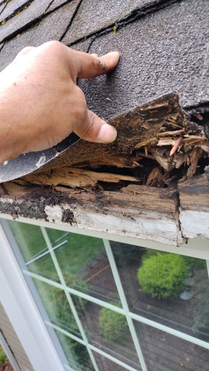 Comprehensive Residential Gutter Cleaning and System Flush in Wayne by NJ Home Maintenance Services