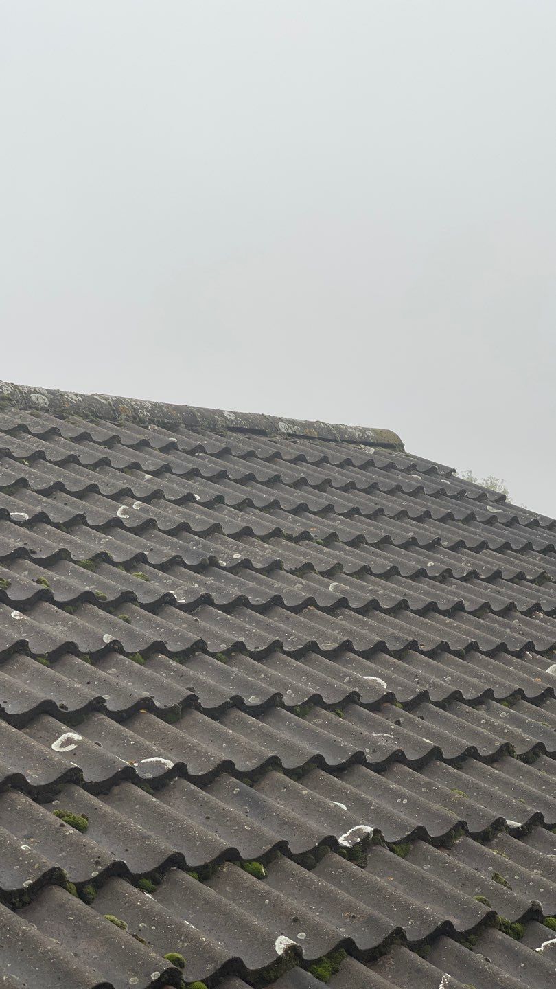 Roof Clean and Biocide Treatment using Honda 15lpm Low Pressure Washing Machine by Ges Exterior Cleaning ltd