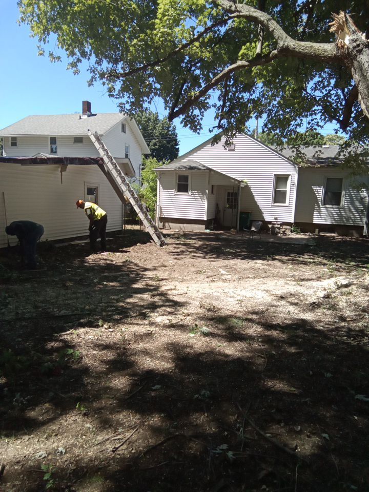 Storm Damaged Tree Removal  using Tree Removal by Mike Jones & Sons Tree Service LLC 