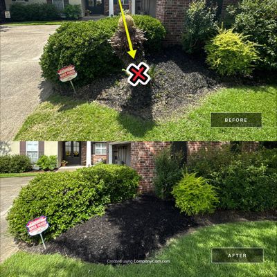 LANDSCAPE SERVICES: SHRUB REMOVAL / MULCH INSTALL