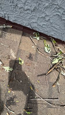 Turtle Shell gutter protection installation in Naperville, IL 60563, photograph 15