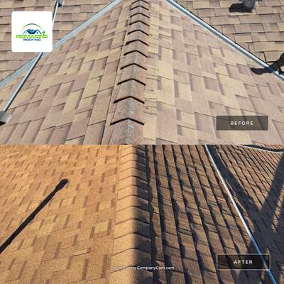 Desert Tan Shingles