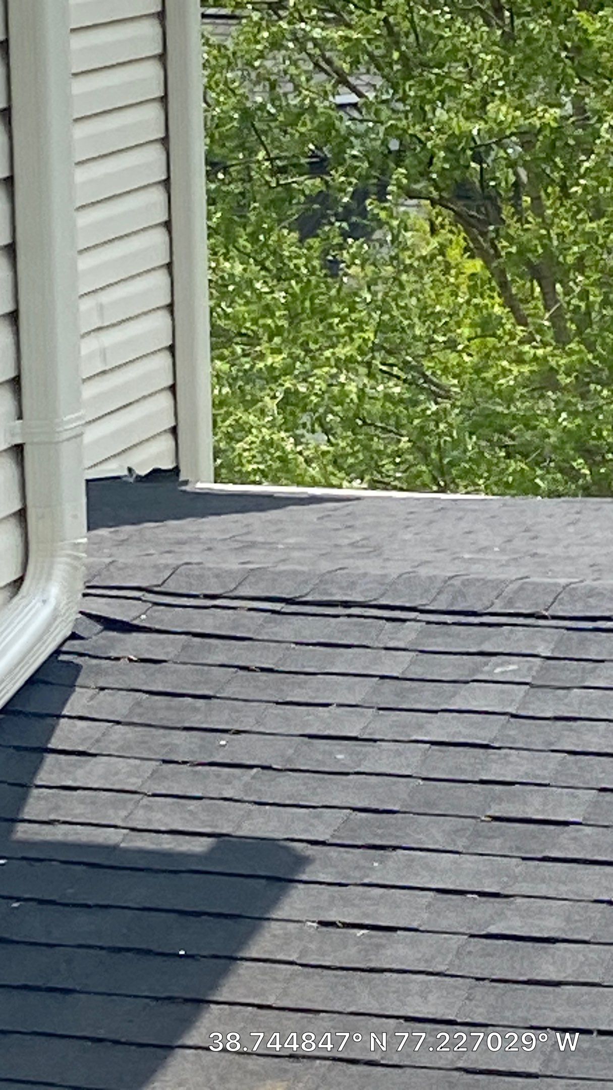 Springfield: CertainTeed Landmark Pro Designer Shingles in Max Def Charcoal Black by RM Banning, Inc.