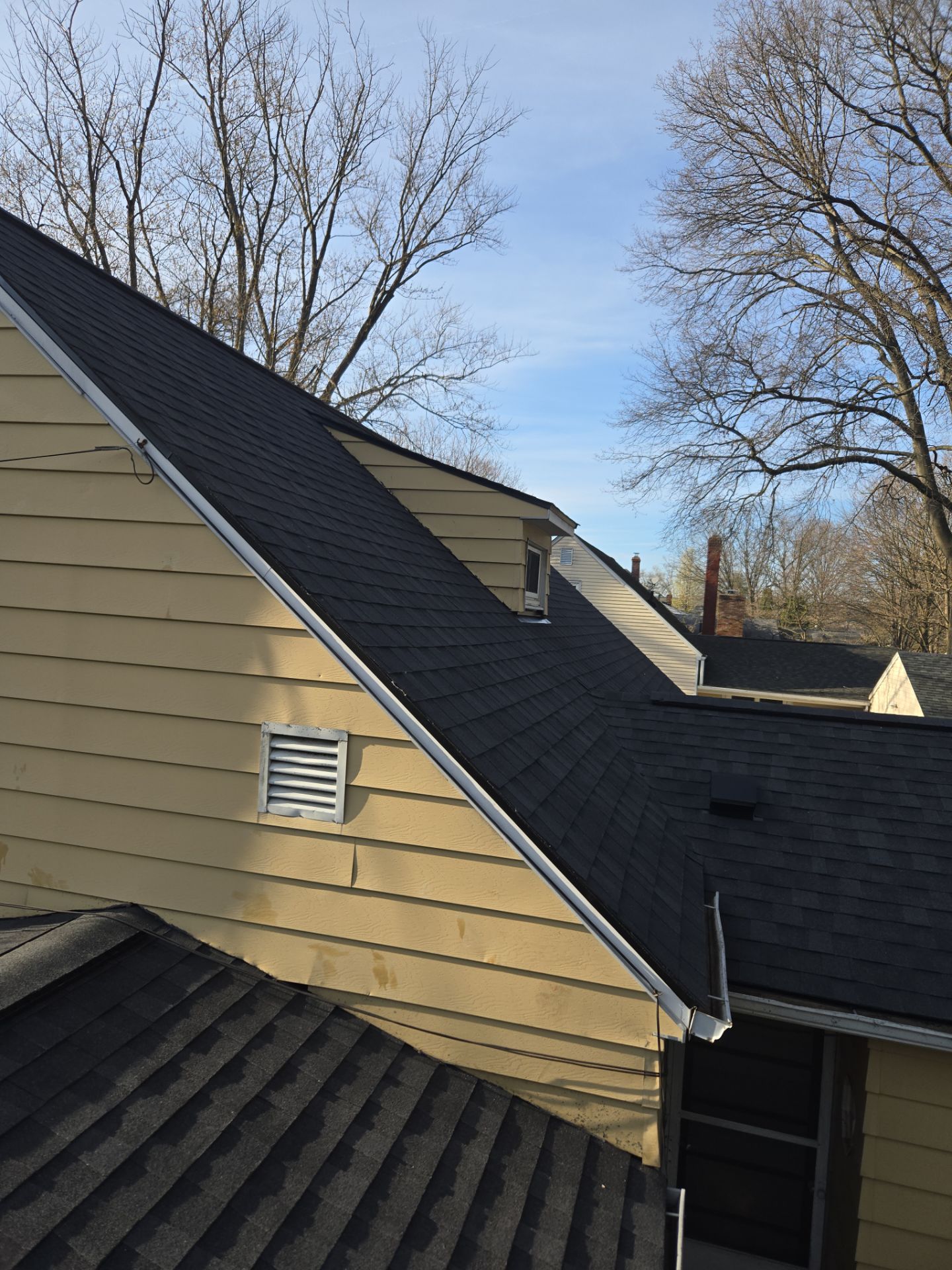Atlas Pinnacle, Color, Black Shadow, Drip Edge, Color, Black by Eagle Eye Roofing