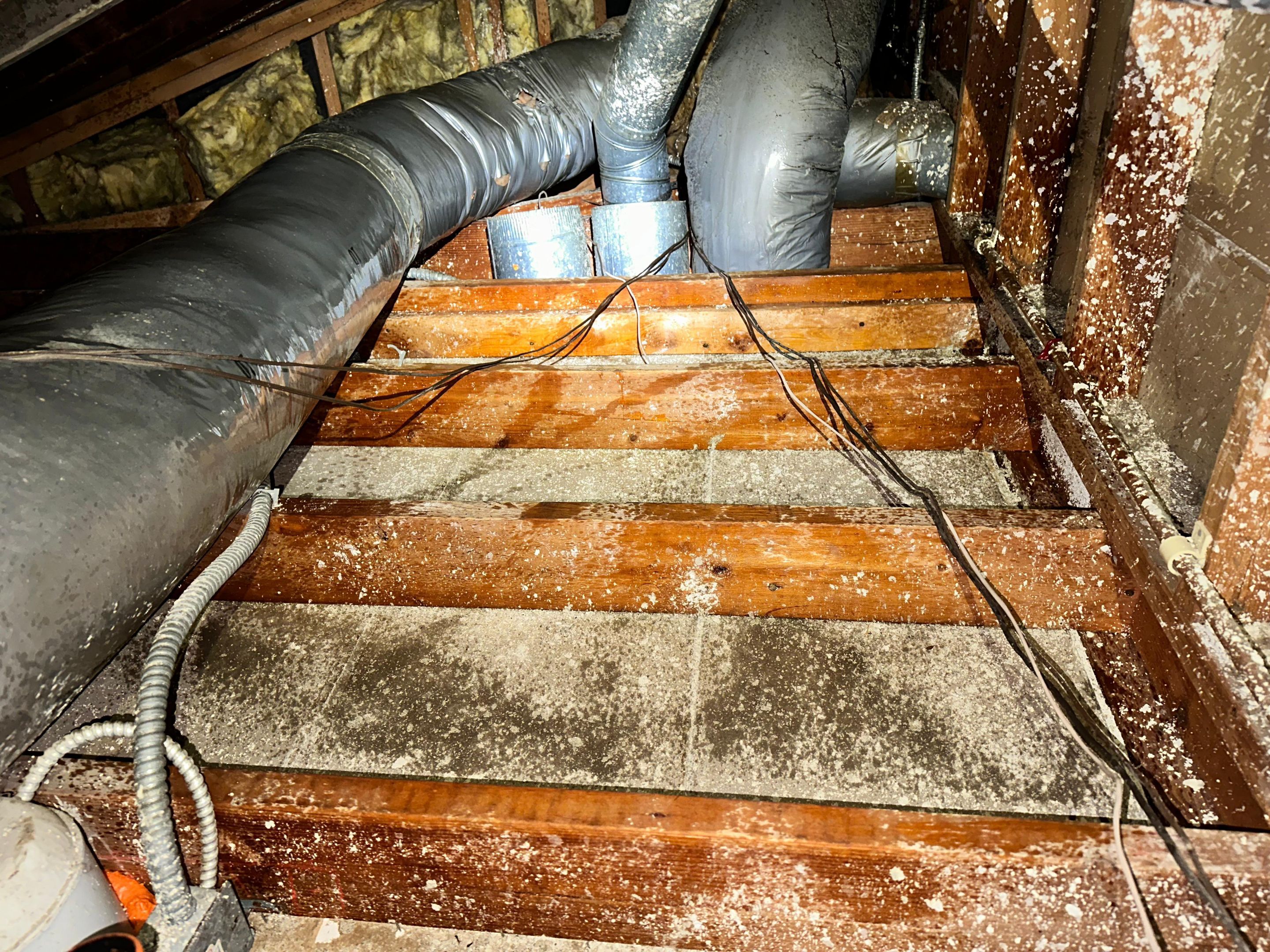 Project in La Habra Heights by Insulation Labs