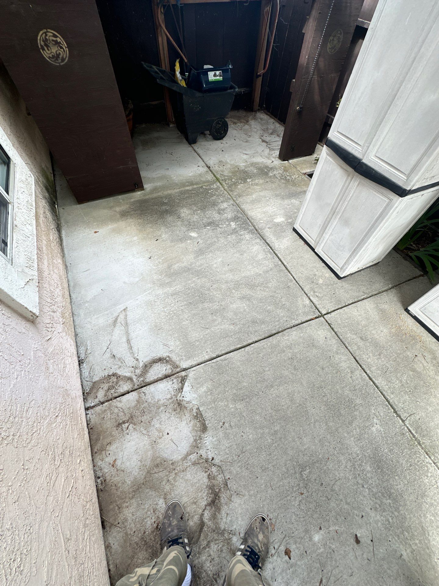House Washing, Concrete Cleaning, and Window Washing with a Side of Gutters by Property Cleaning Experts, LLC