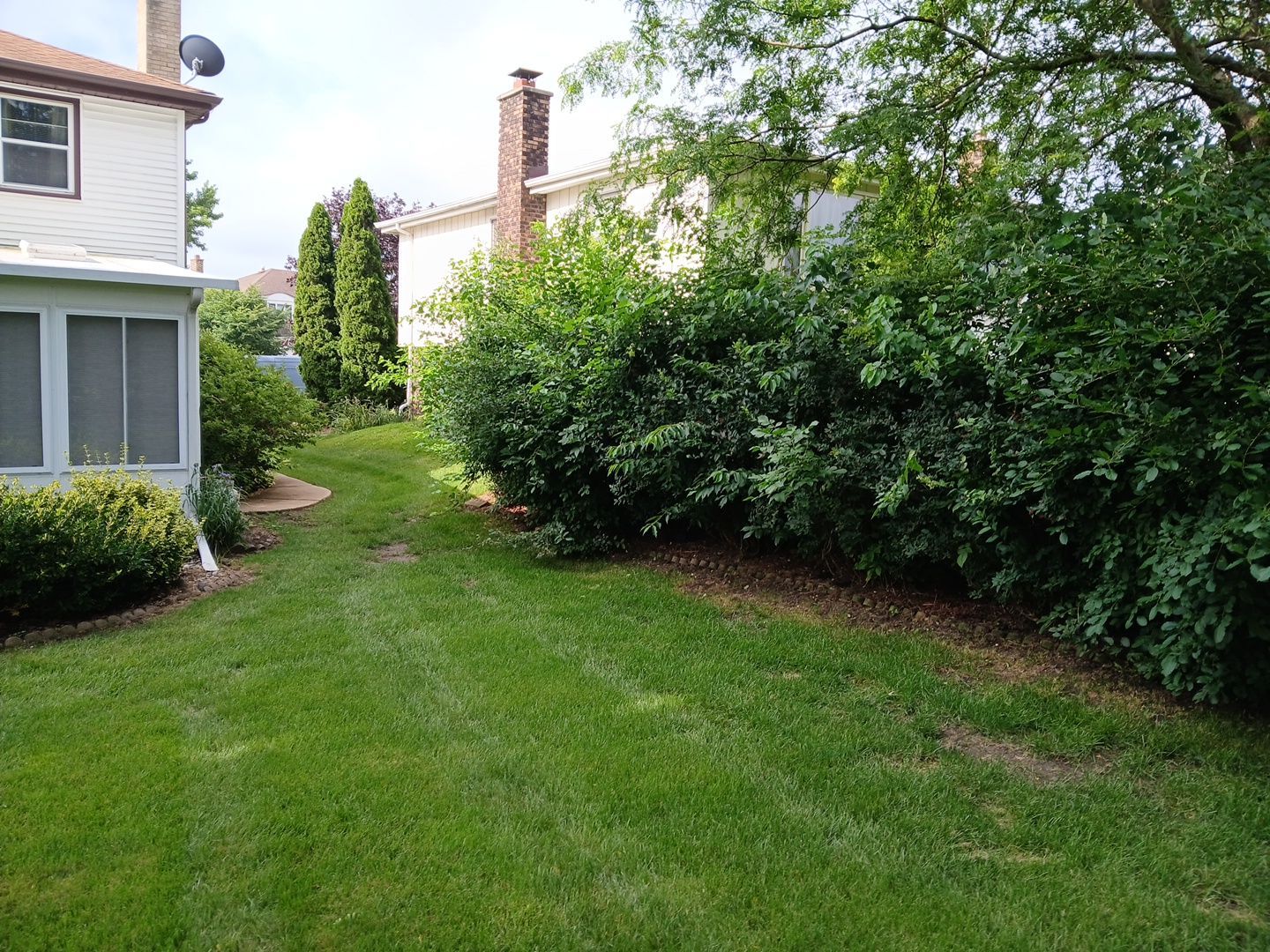 Andrew L. - Arlington Heights, IL by A&N