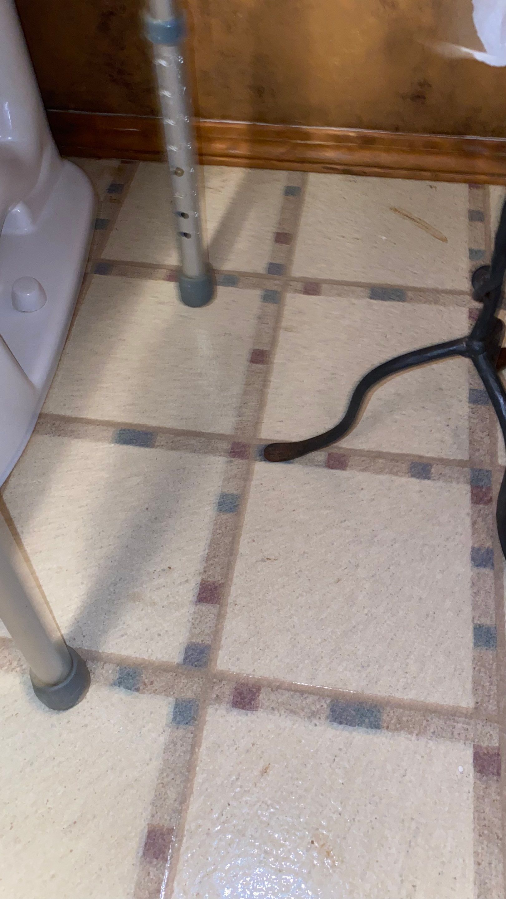 House cleaning in Lake Oswego by Cloud 9 Professional Cleaning Services