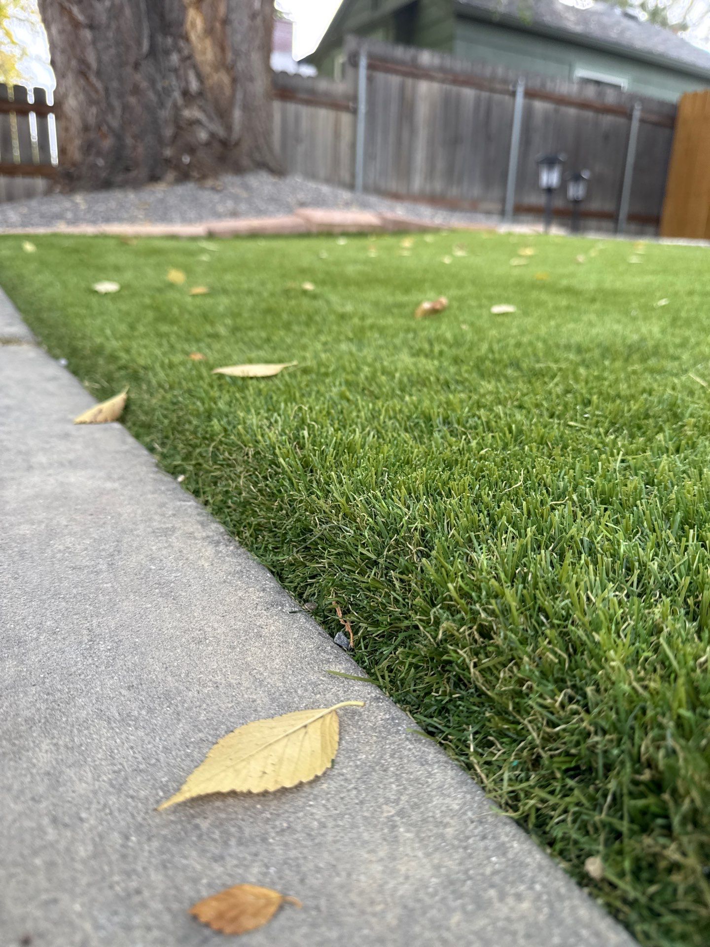 SYNLawn Idaho featured photo.