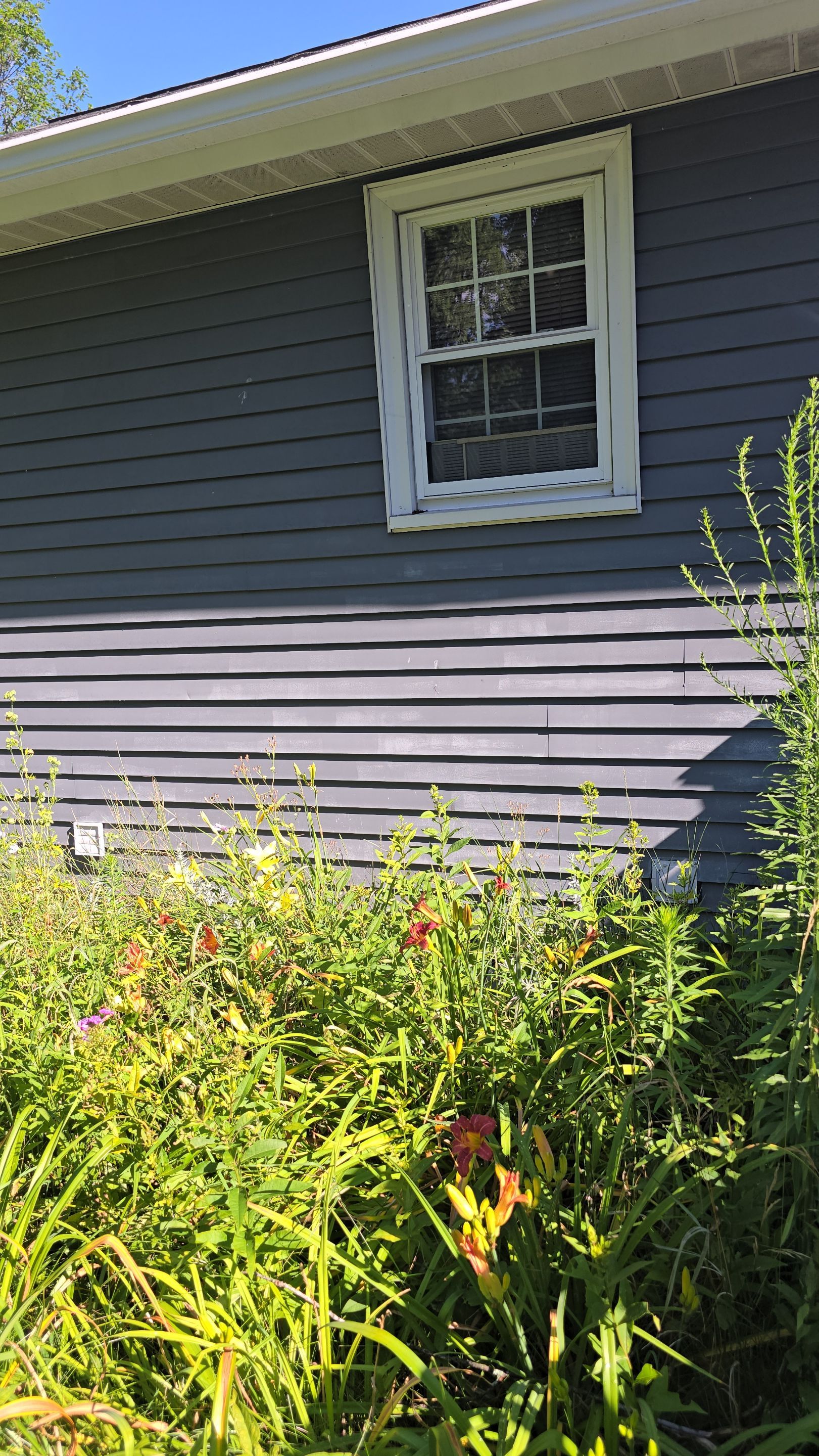 Exterior Painting using Benjamin Moore Regal Select by The Persnickety Painters