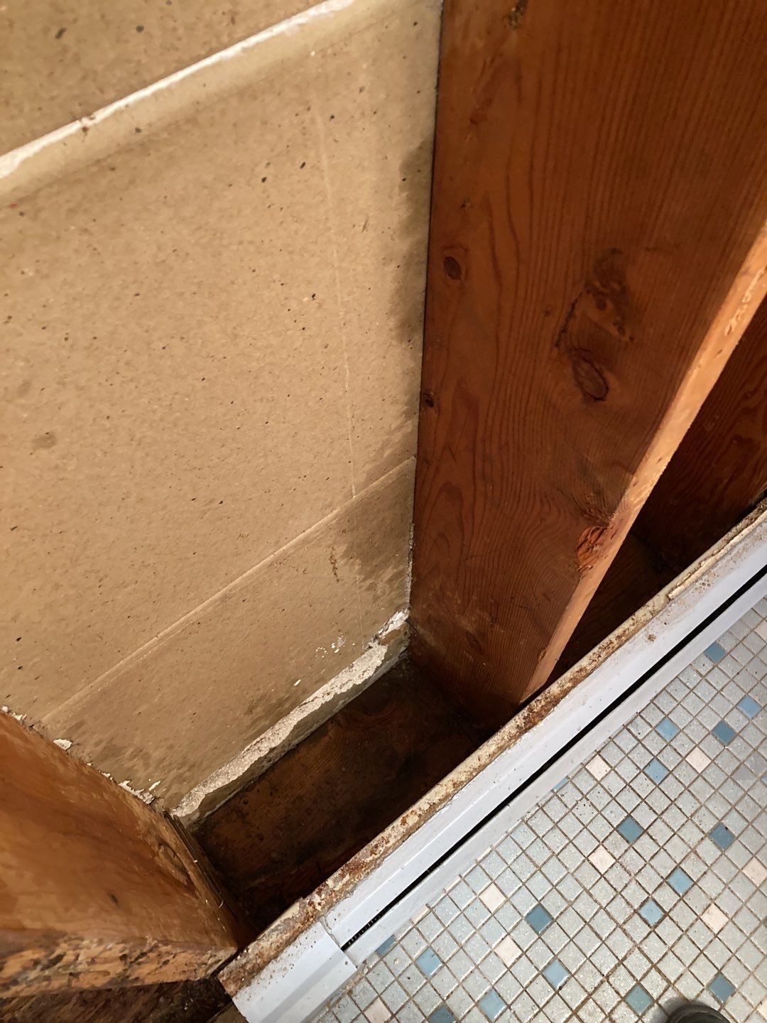 Water Damage Repair by Accountable Home Services