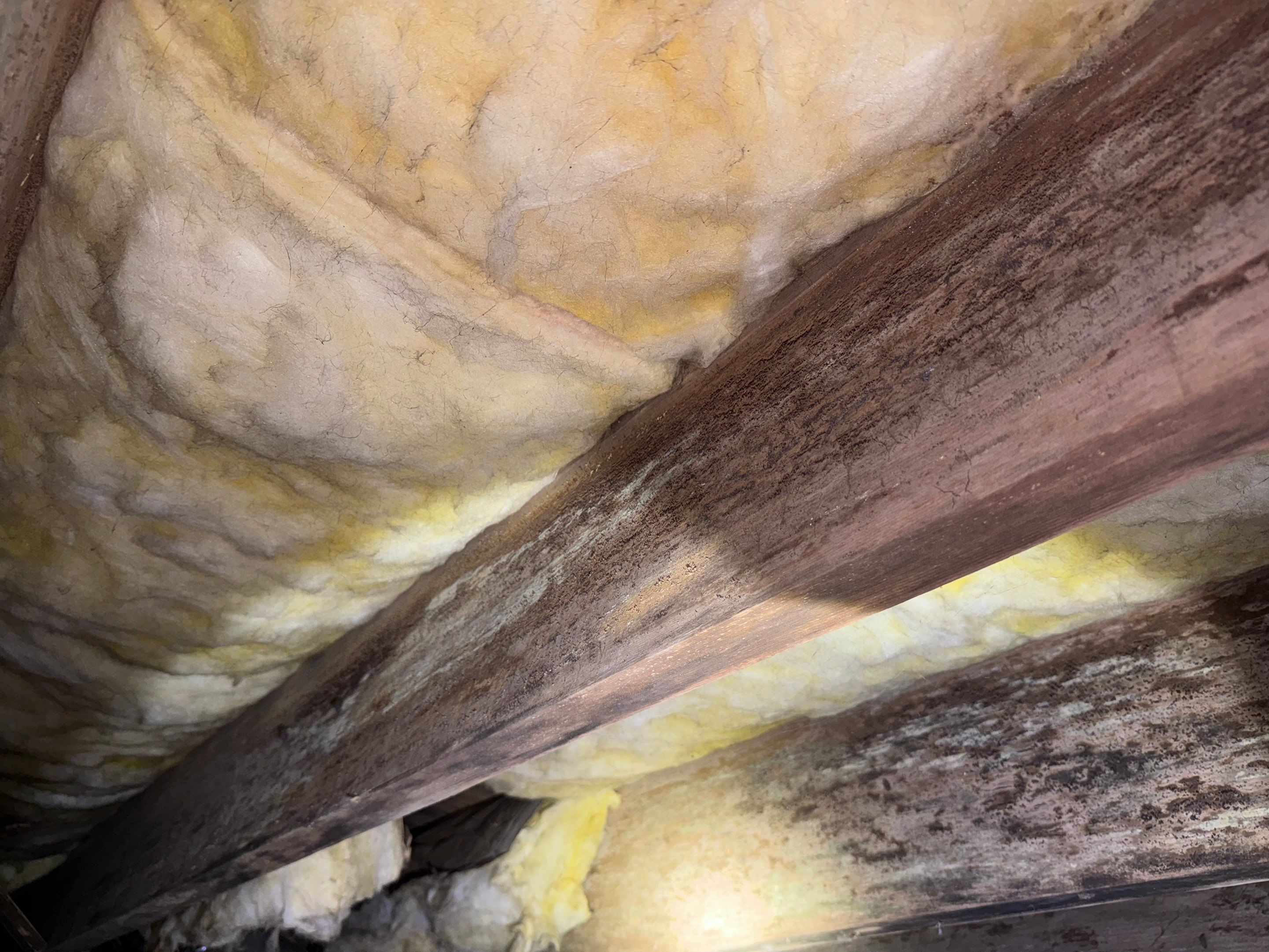 Impact Choice Encapsulation with 20Mil and Tri-Plex insulation. by Impact Crawlspace