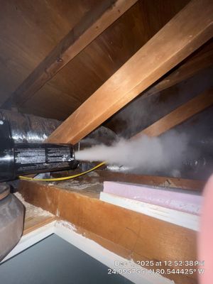 odor removal