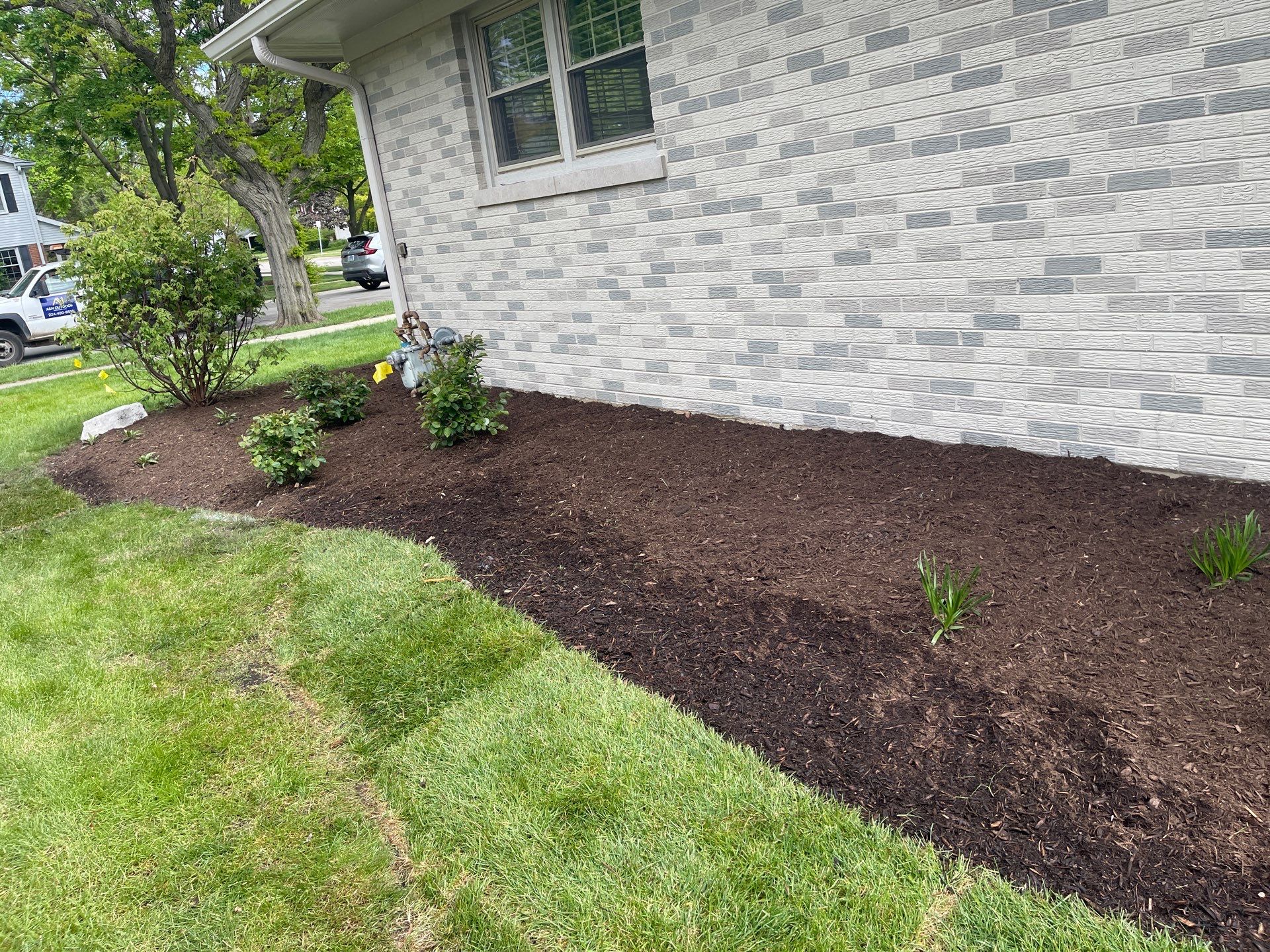 James F. - Arlington Heights, IL by A&N