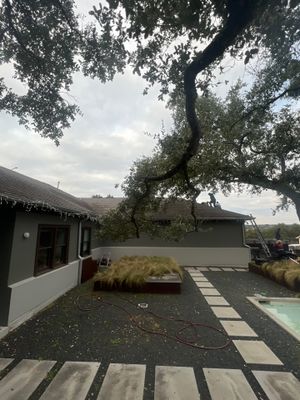 Project in Austin