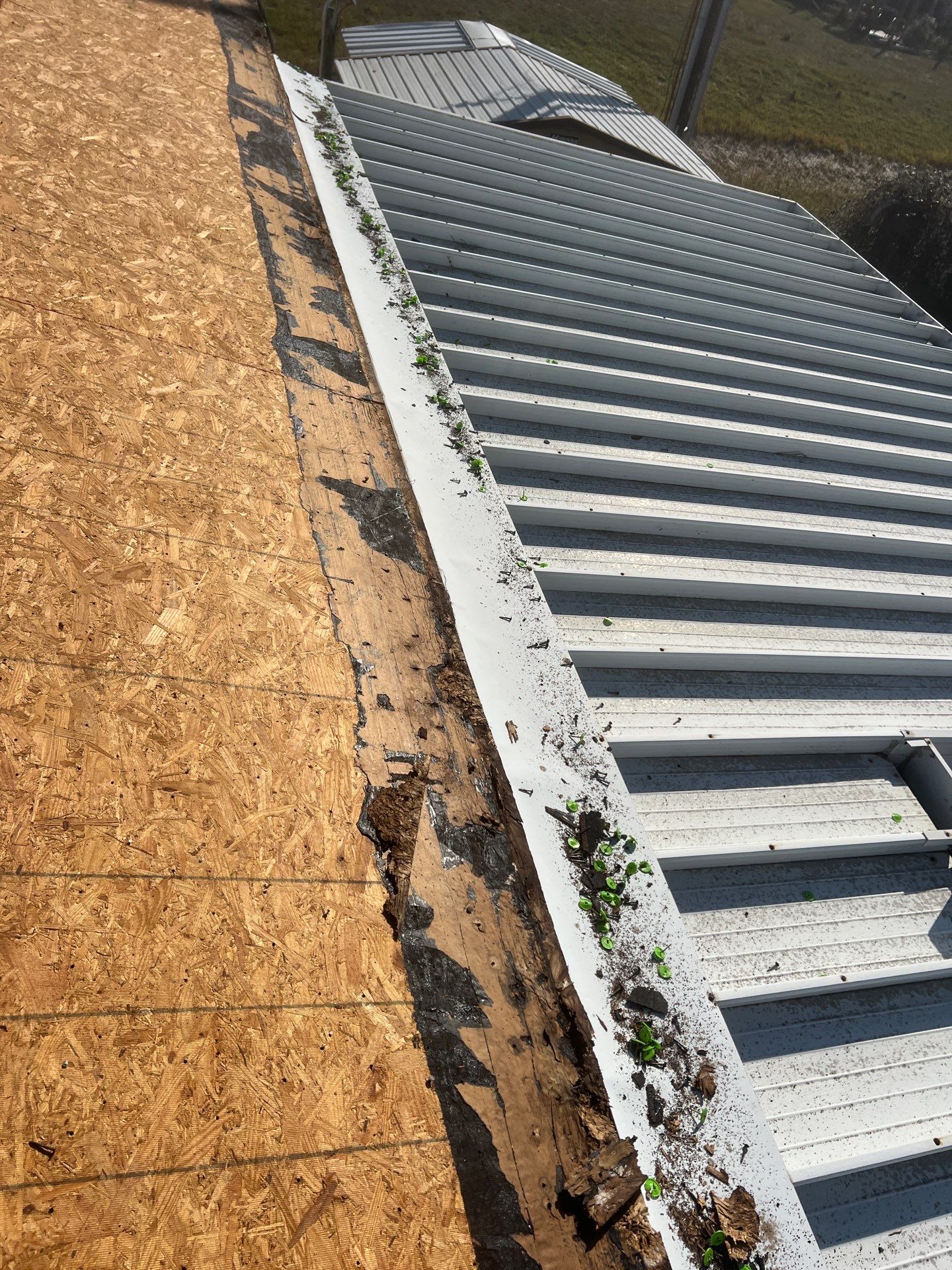 Trailer Park Treasure! by Bayfront Roofing and Construction