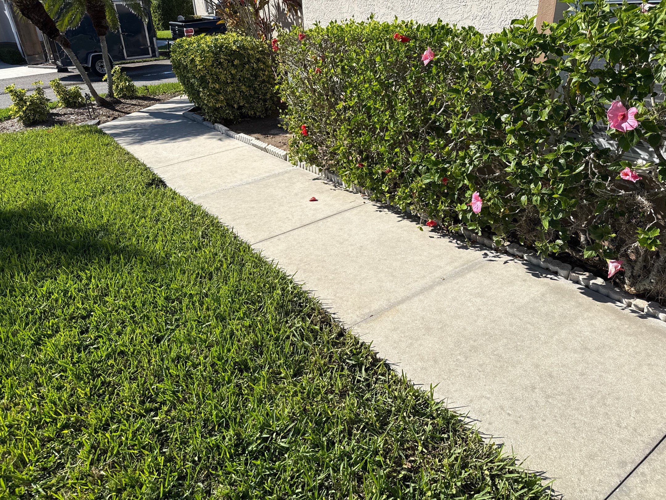 🚿 Another Stunning Driveway & Entryway Cleaning at Captain’s Court Condos – Terra Ceia, FL! by Sunshine AquaWash