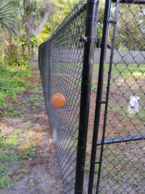 Black Chain Link in Port Charlotte