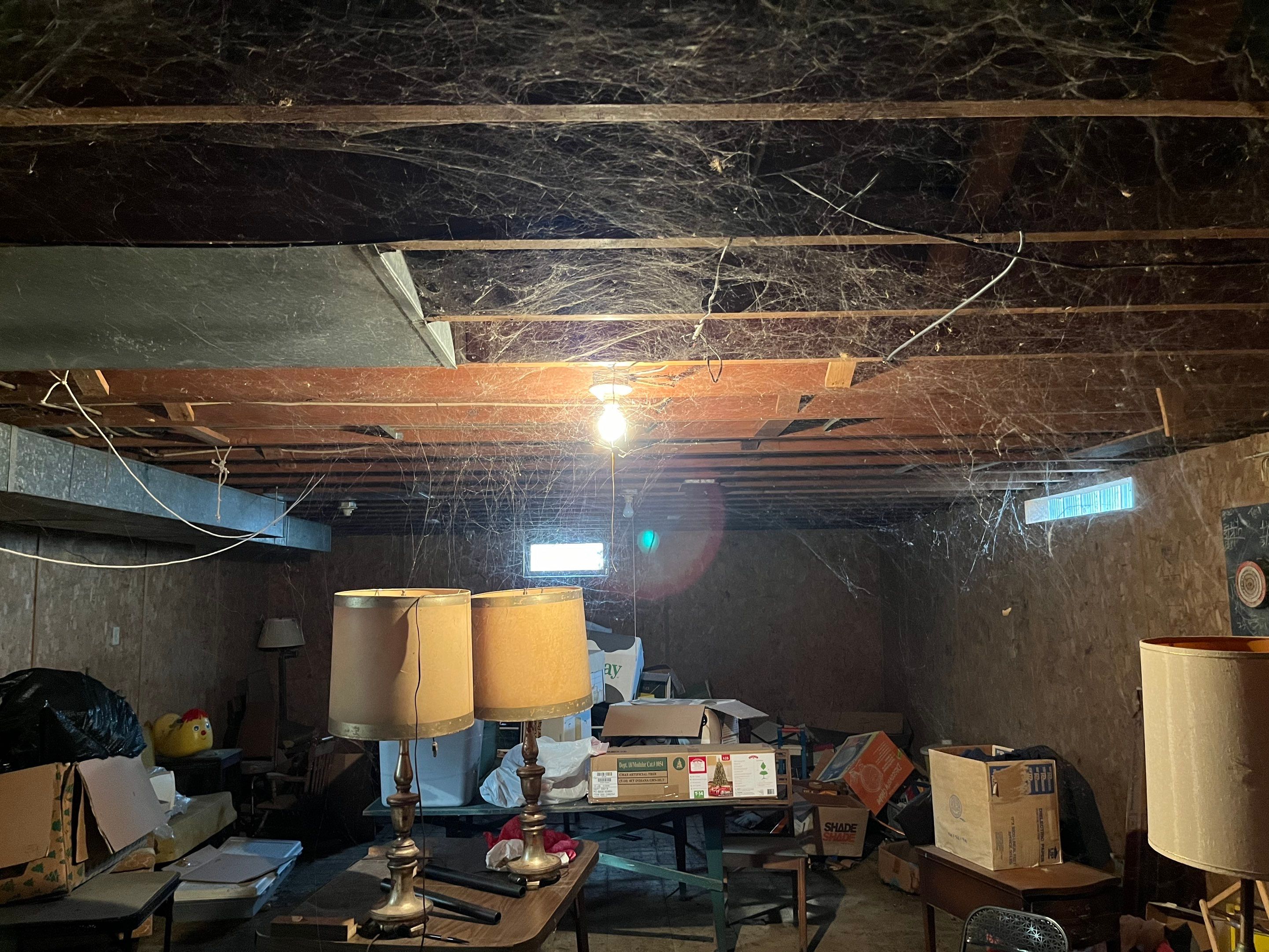 Waterproofing/Wall Bracing by ACE Waterproofing & Basement Solutions