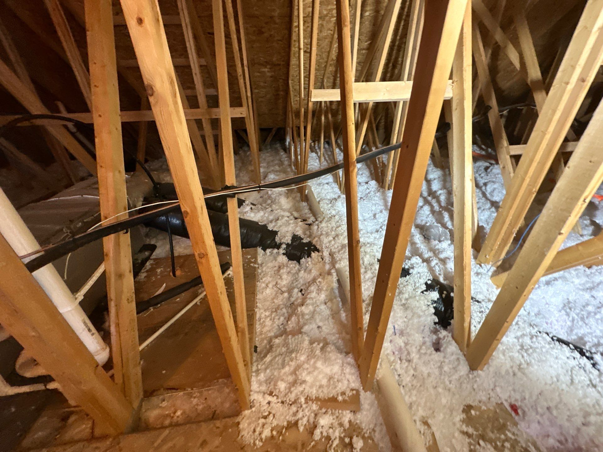Sanitizing and Transforming a 2,100 sq ft Attic for a Better Home Performance by Home Environment Solutions