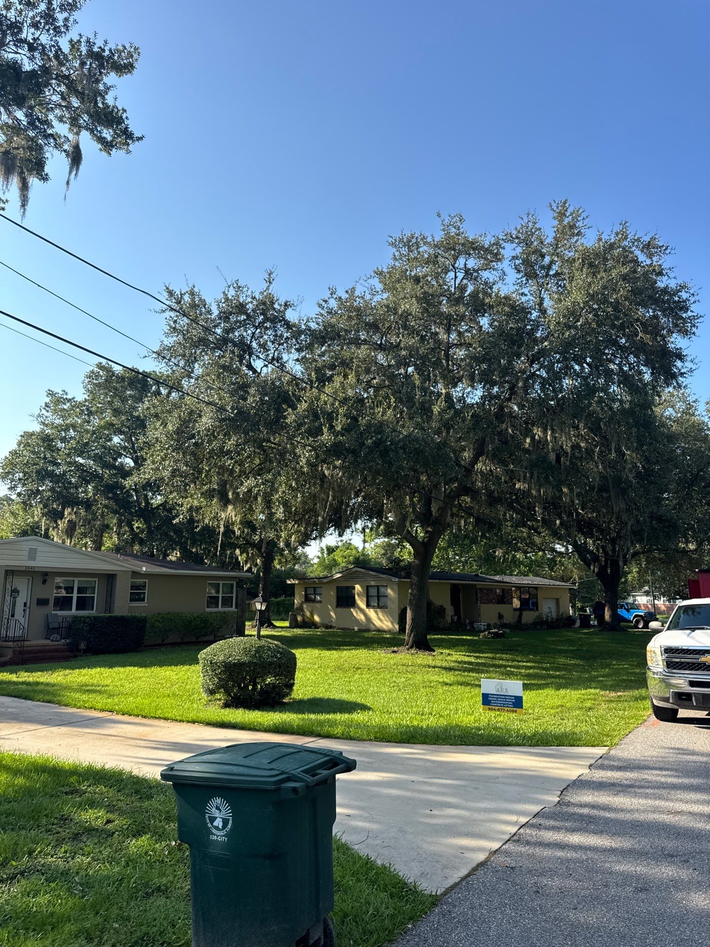 Residential | Tree Trimming  by ProGreen Services
