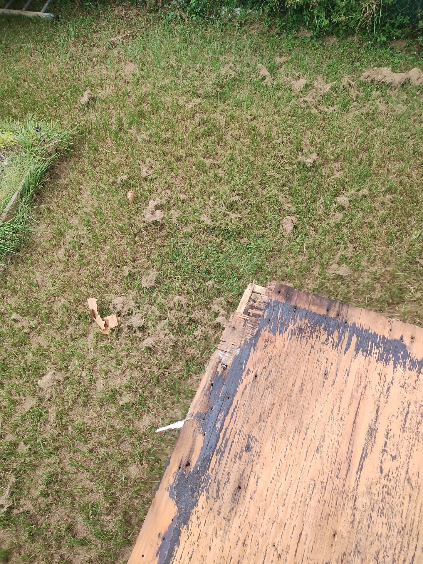 Project in Pinellas Park 33782 by Mitchell Roofing Company LLC