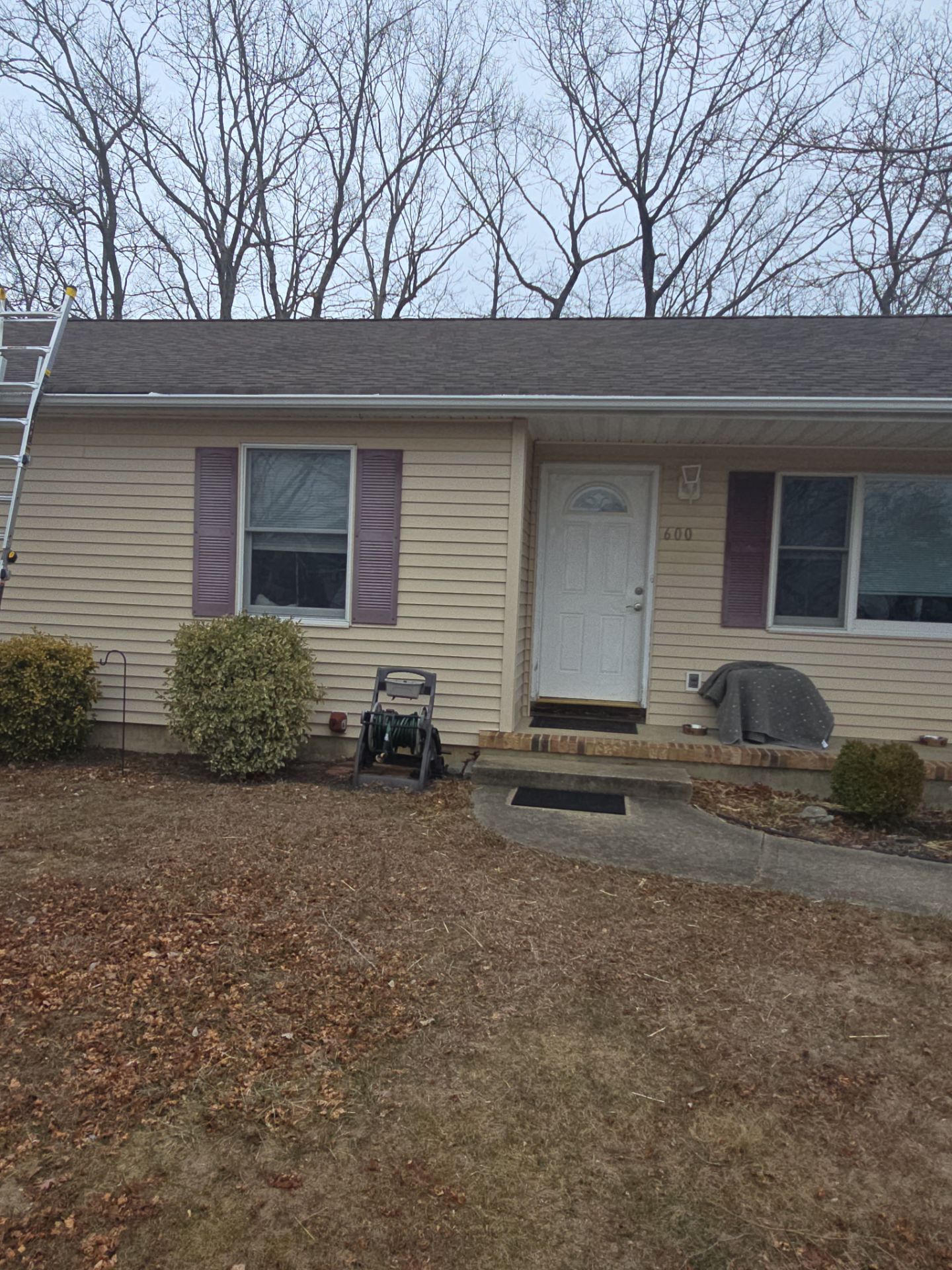Pewter Gray Shingles by Reimagine Roofing