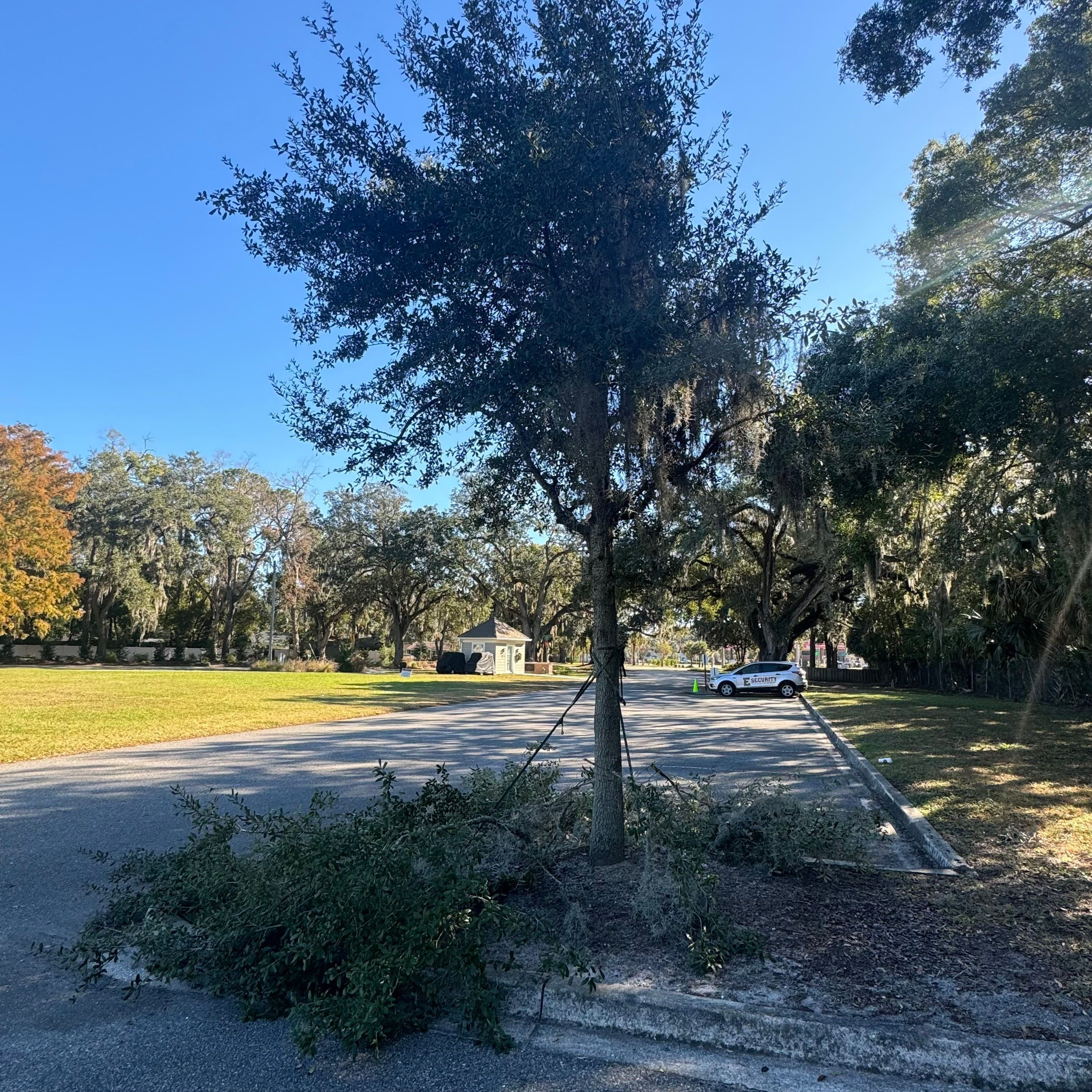 Volunteer Work | Episcopal High School of Jacksonville by ProGreen Services