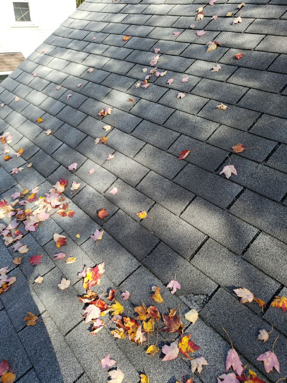 ATLAS PINNACLE SCOTCHGARD COLOR: PEWTER DRIP EDGE: BLACK by Eagle Eye Roofing