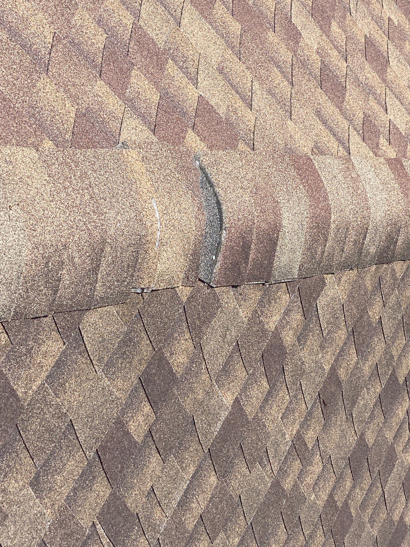 Hail Damage using Owen's Corning Duration (Lifetime) Shingles by Roof Repair Company