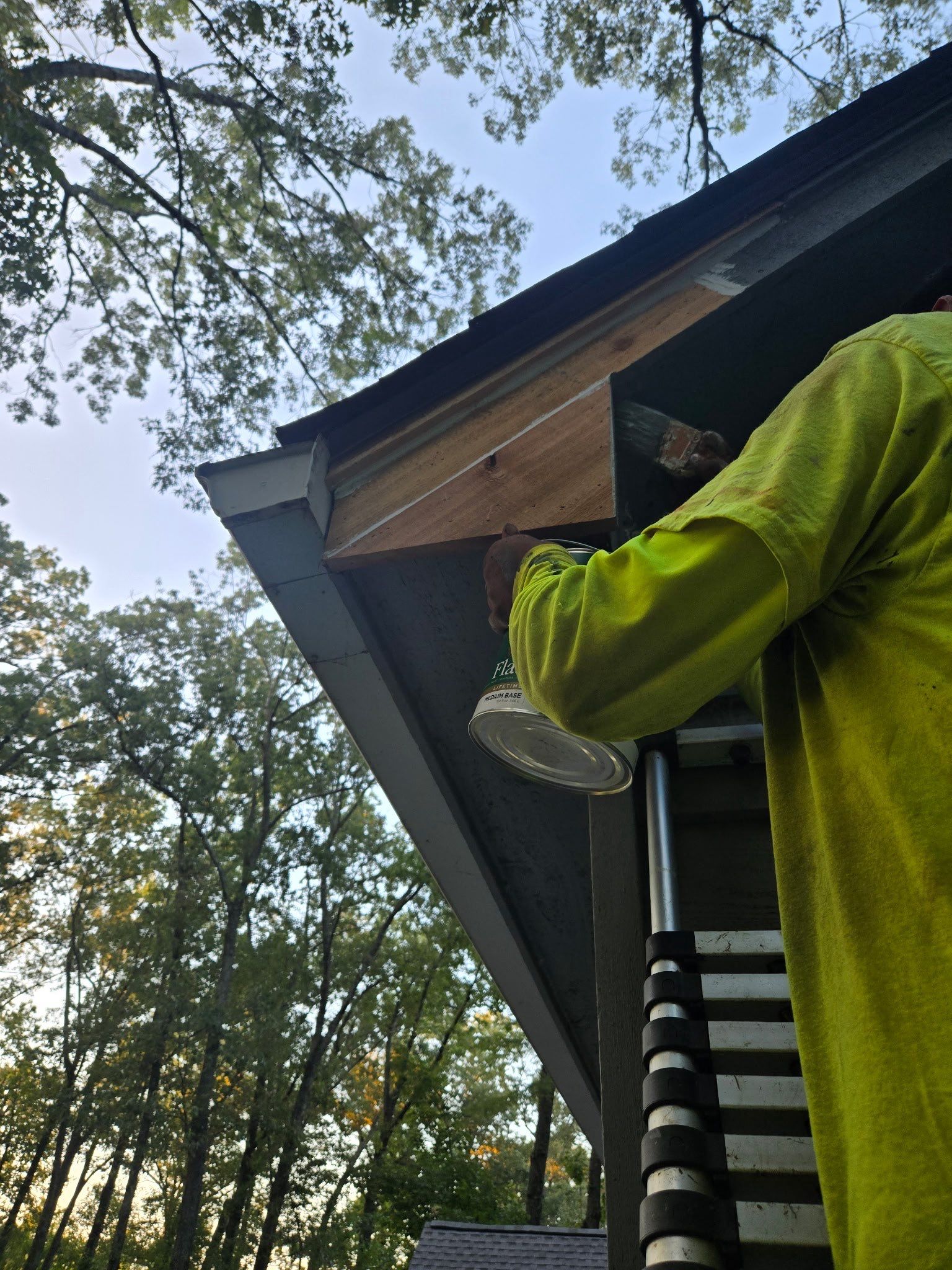 Collierville Roof Replacement Following Major Tree Impact Damage with interior repairs by Revival Roofing Services