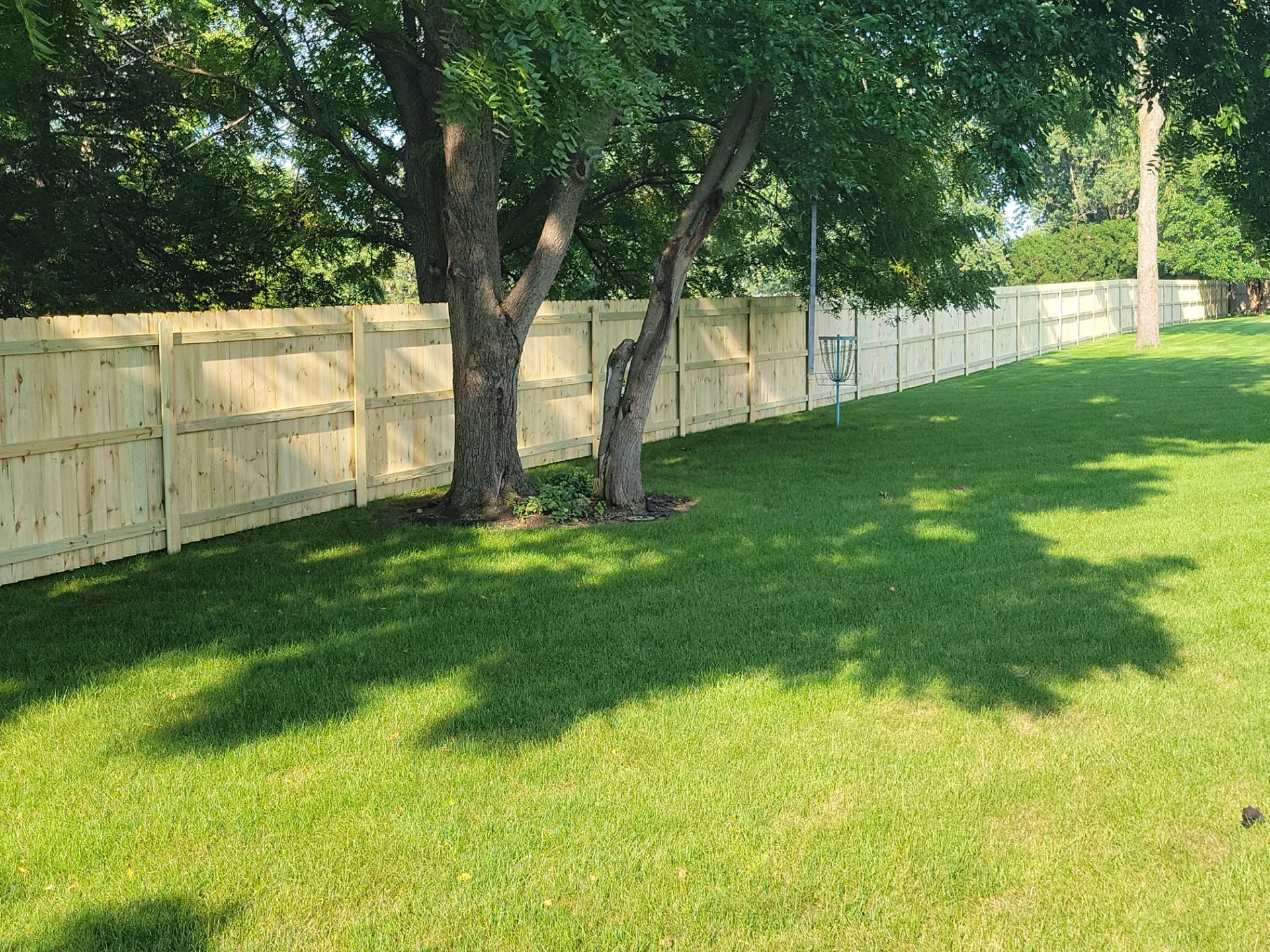 Pressure-Treated Wood Privacy Fence Replacement in Cedar Falls by Perfect Picket Fence and Stain