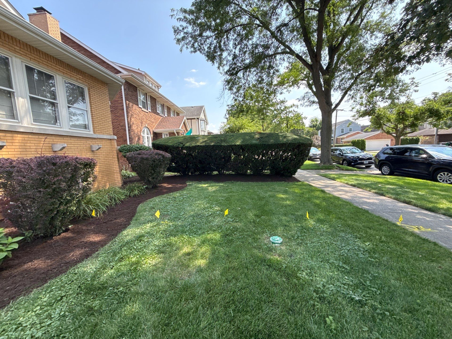 Nancy M. - Park Ridge, IL by A&N
