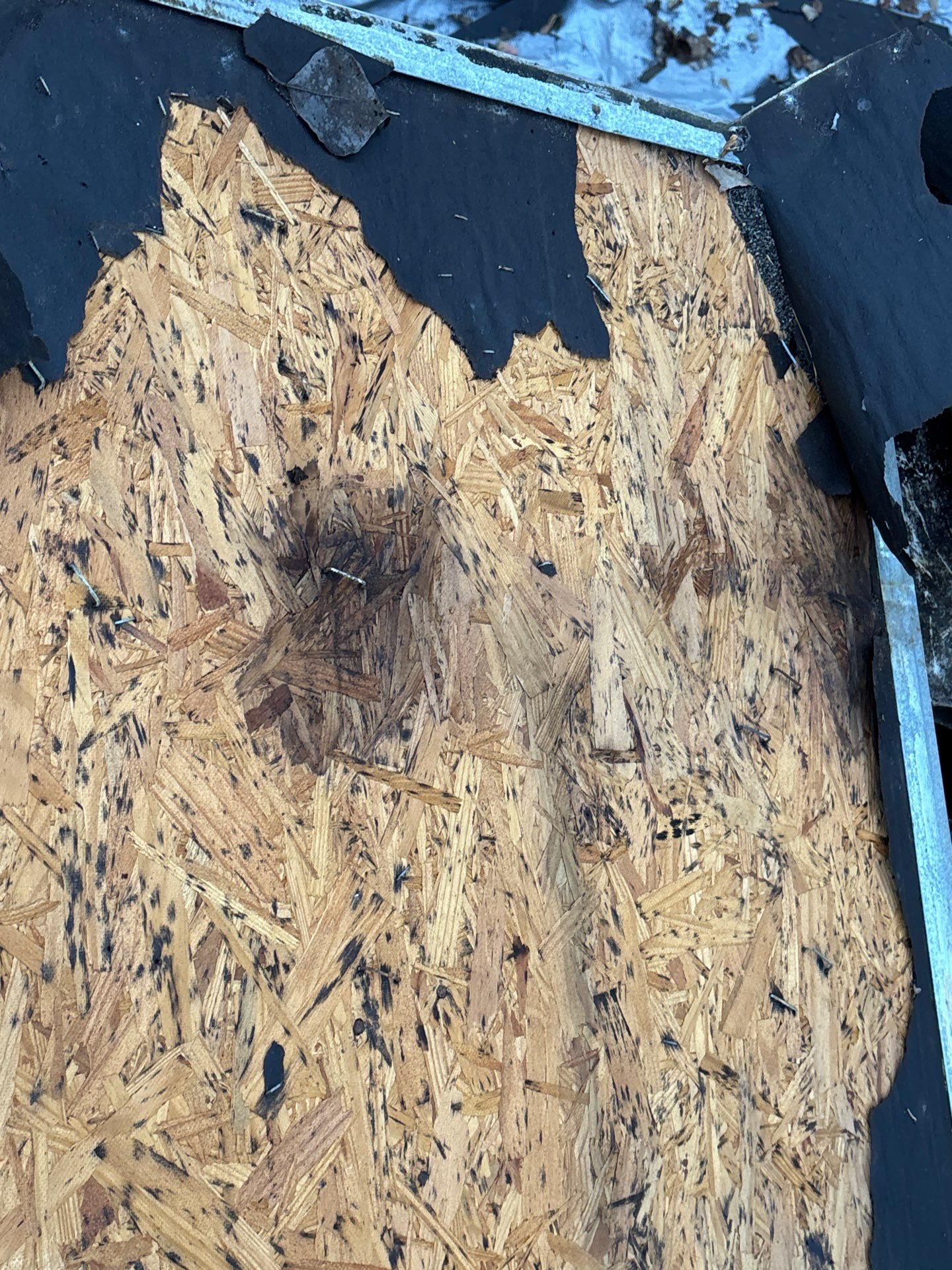 Roof Replacement Sugarland by Roof Repair Services LLC