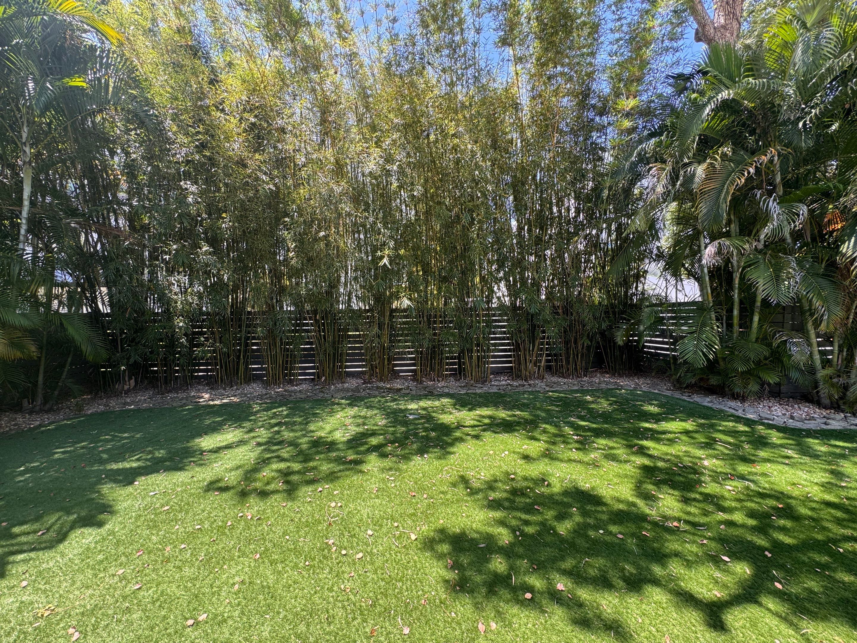 Custom Outdoor Lighting and Artificial Grass Installation in Tampa by Elegant Accents