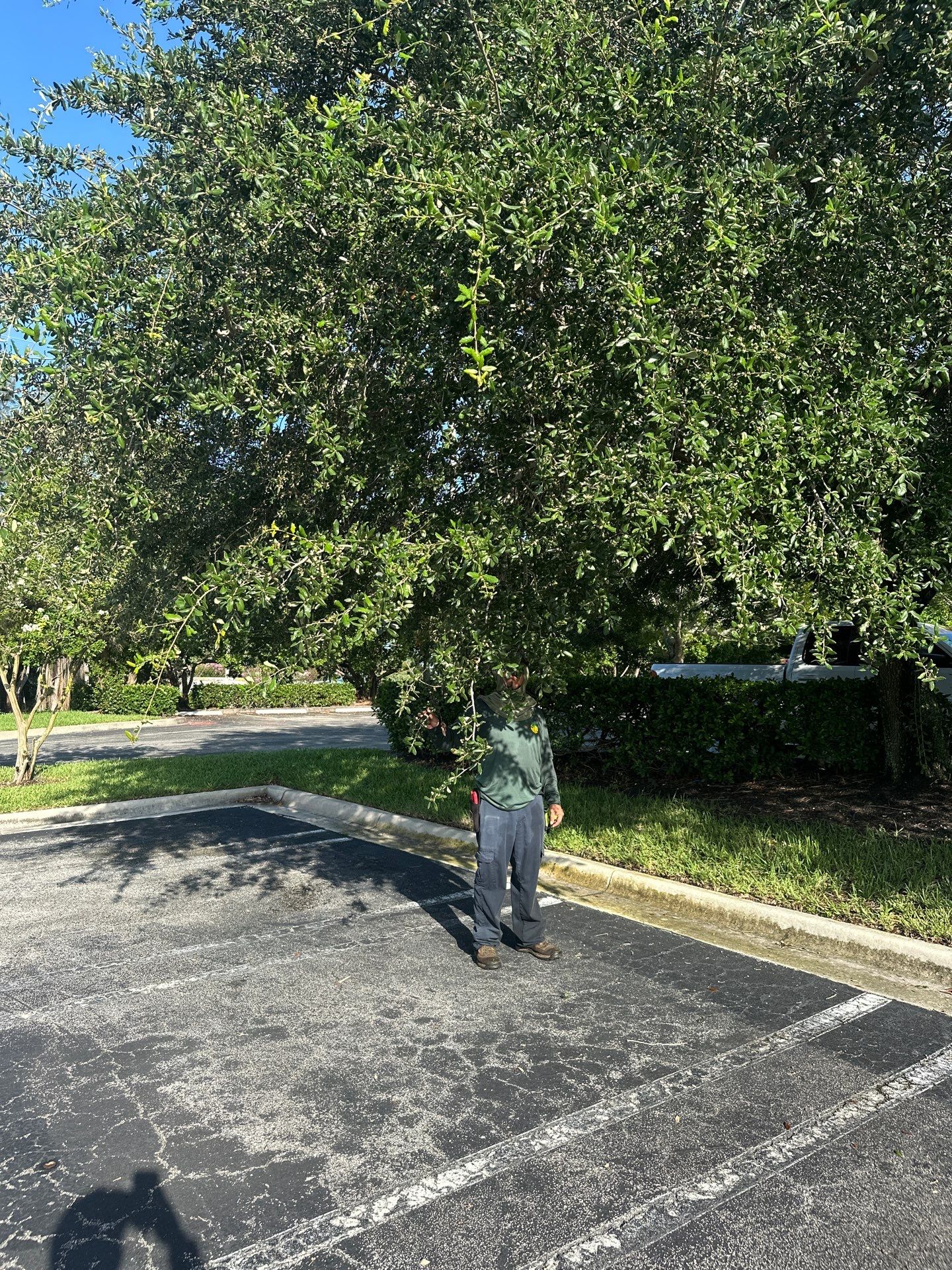 🛏️ City Mattress Refresh — Jensen Beach by Alpha Zeta Enterprises Inc