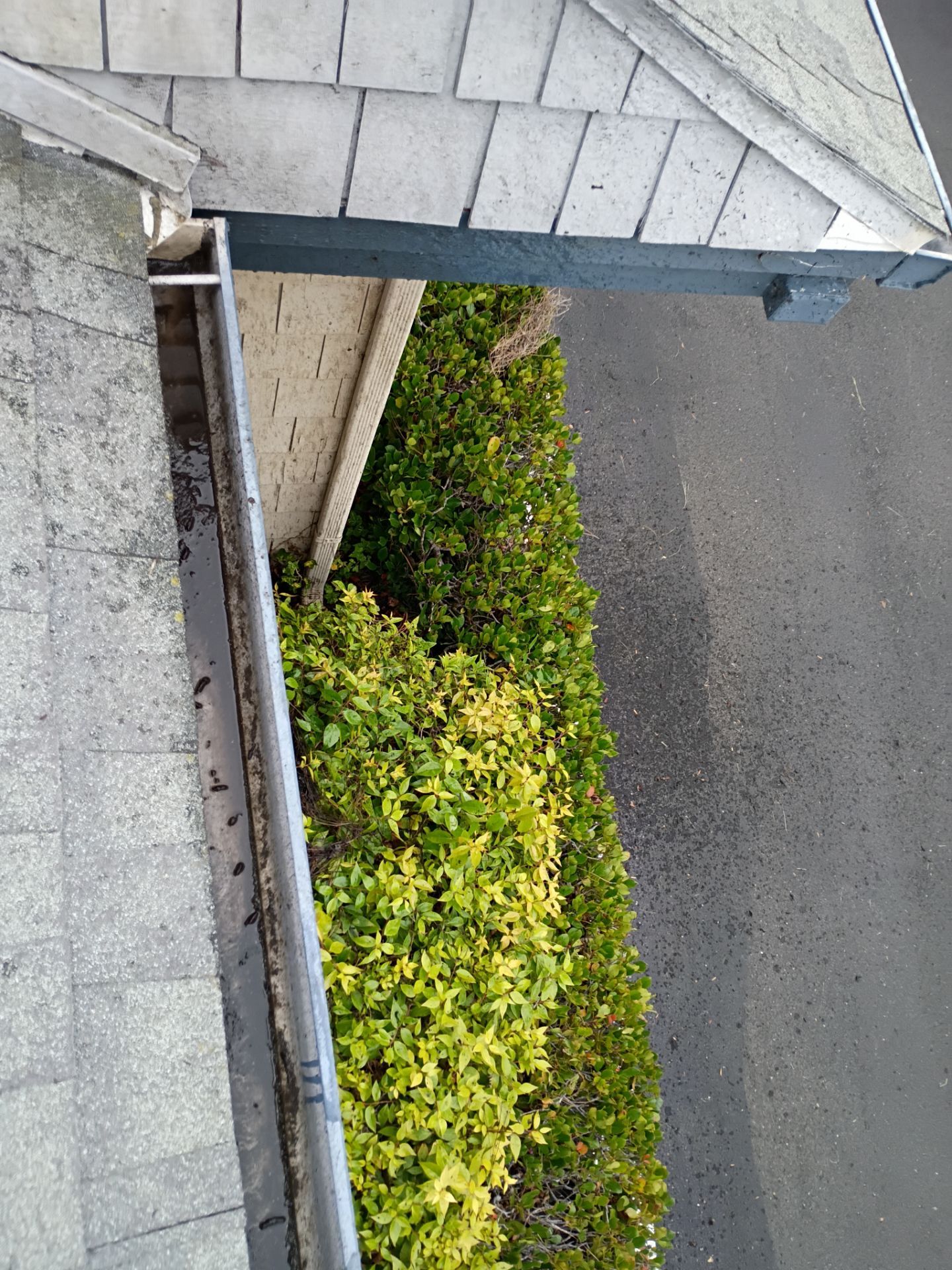 HOA gutter cleaning after photo.
