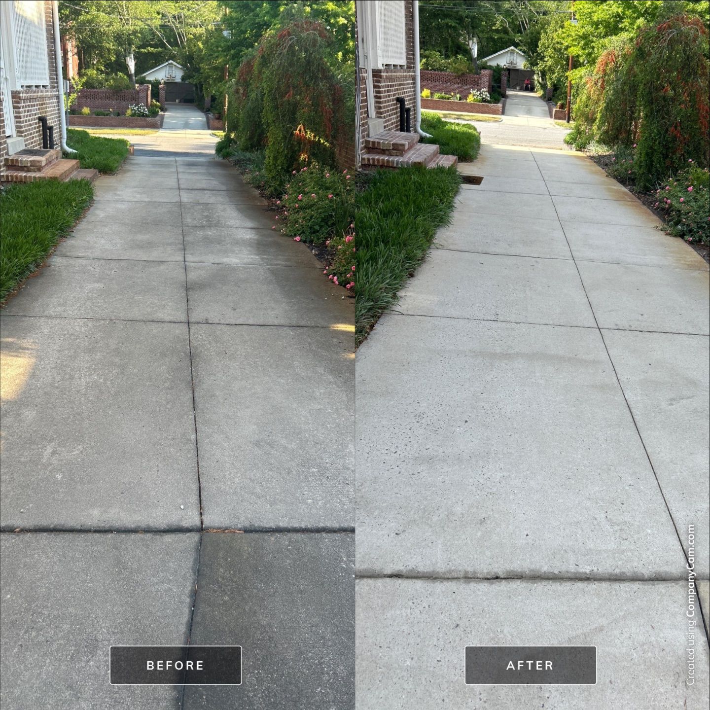 House Washing in Wilmington by Shark Power Washing