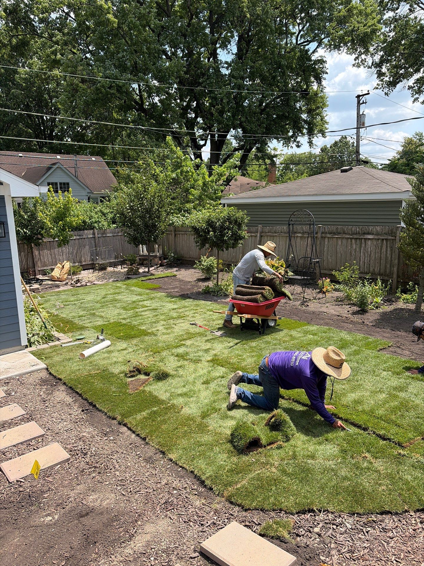 Joanne C. - Mount Prospect, IL by A&N 