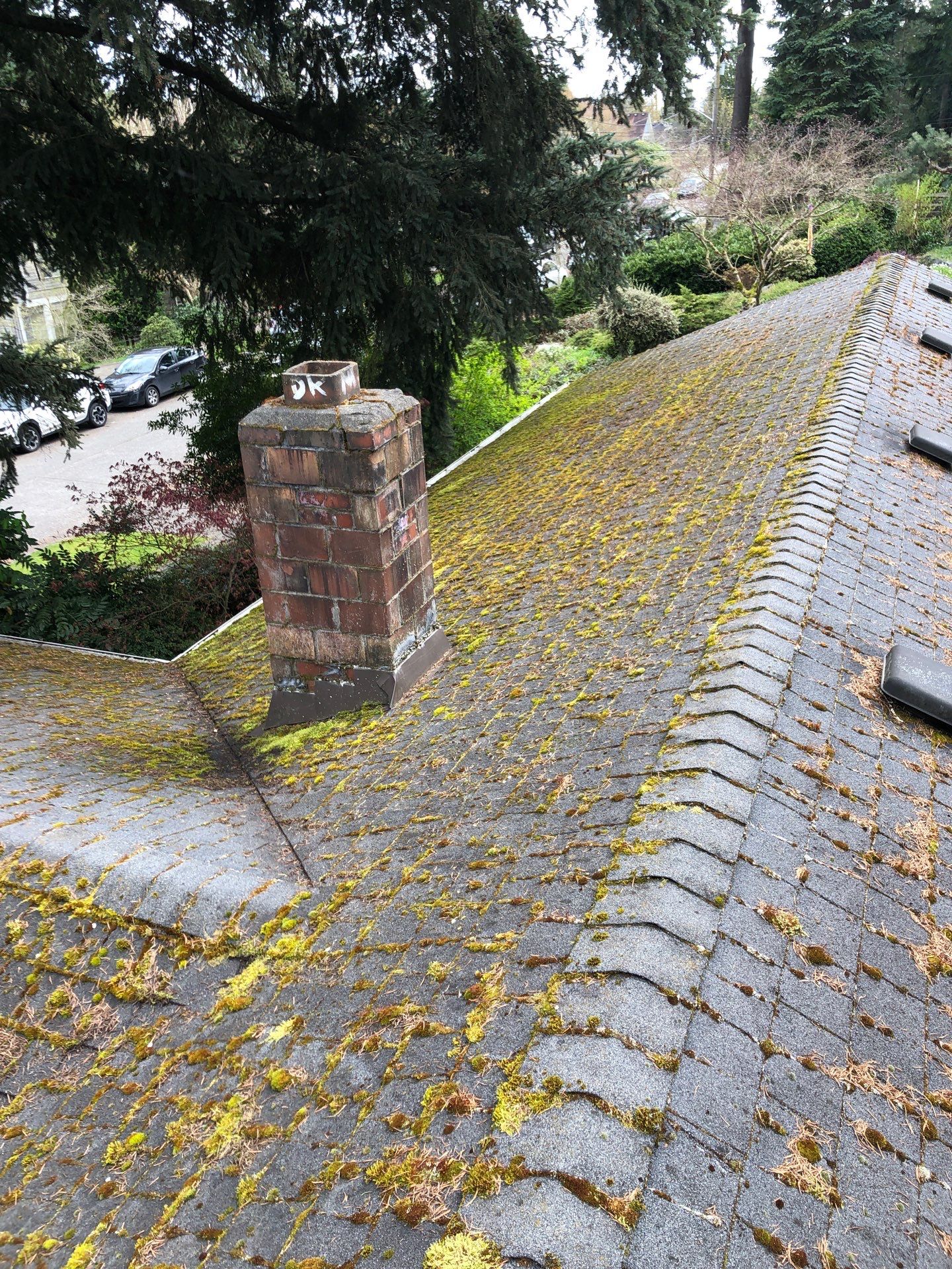 Project in Seattle by Peaks and Valleys Construction