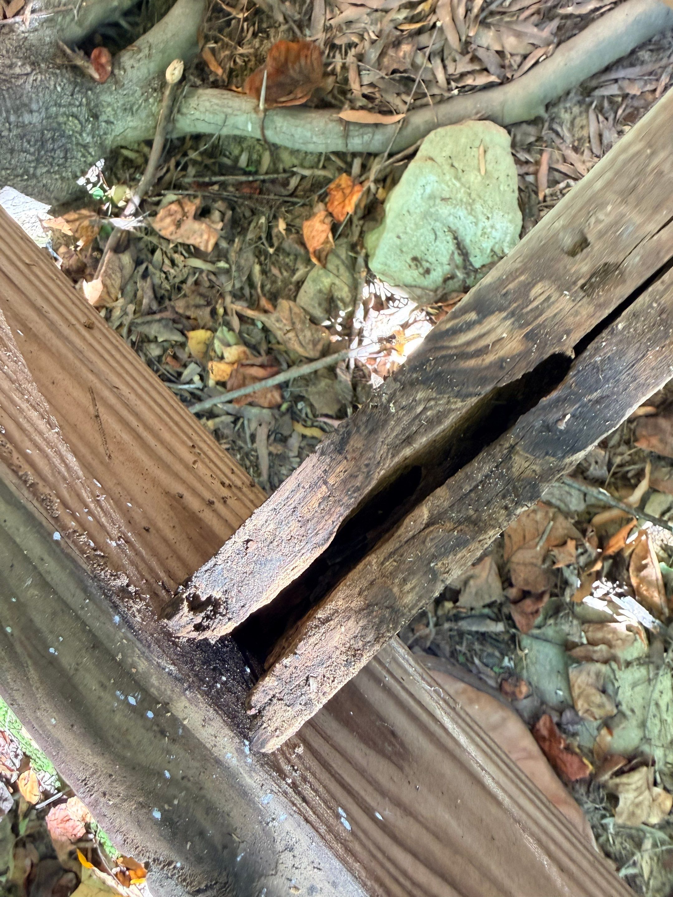 Deck repairs and new decking installation by AXR Inc