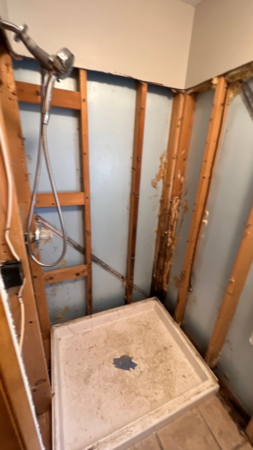 Water Damage and Mold Remediation by Accountable Home Services