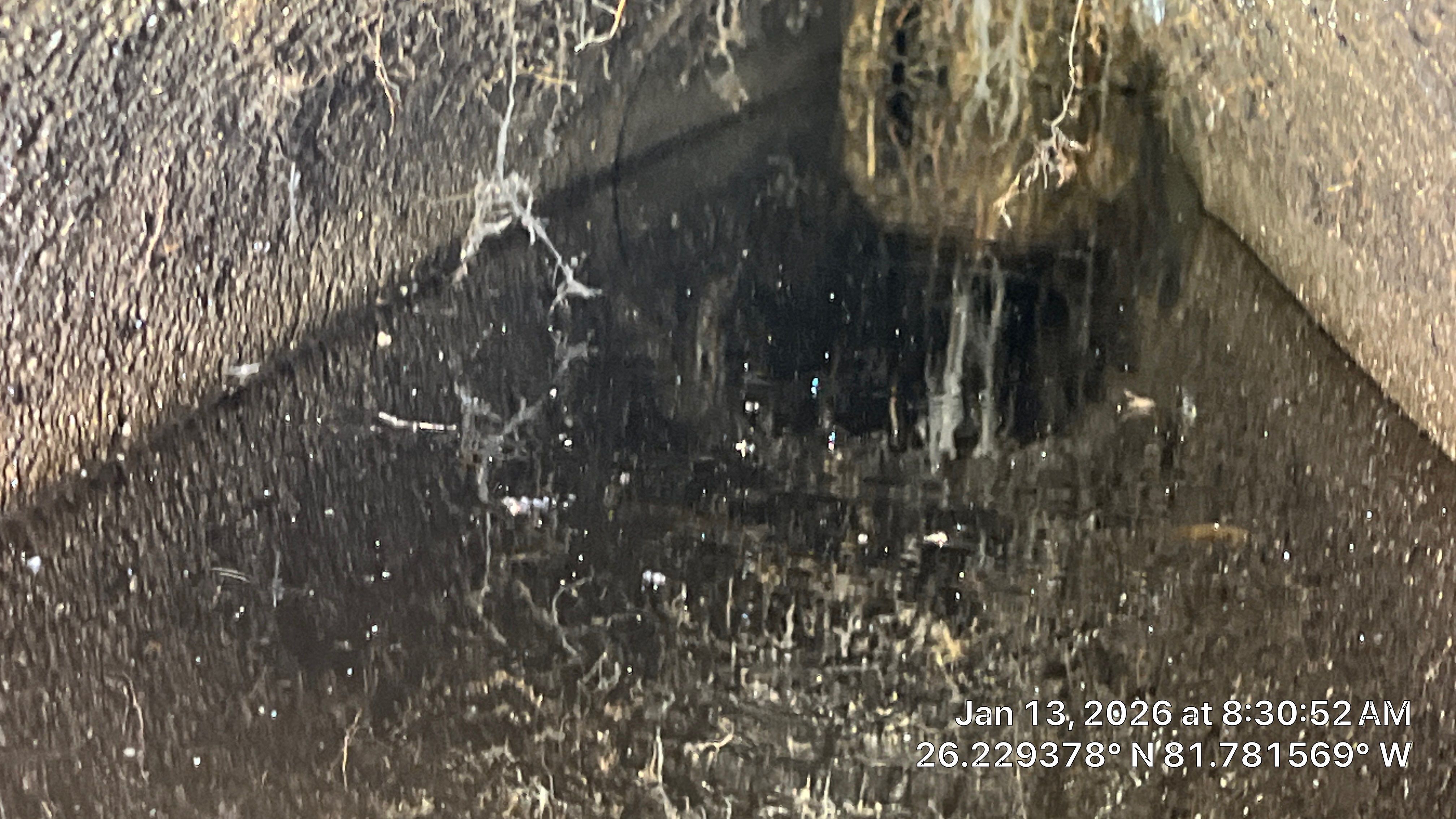 Naples Community Root Intrusion Investigation with P.R.S. by Don Mar, Inc. Storm Water Solutions