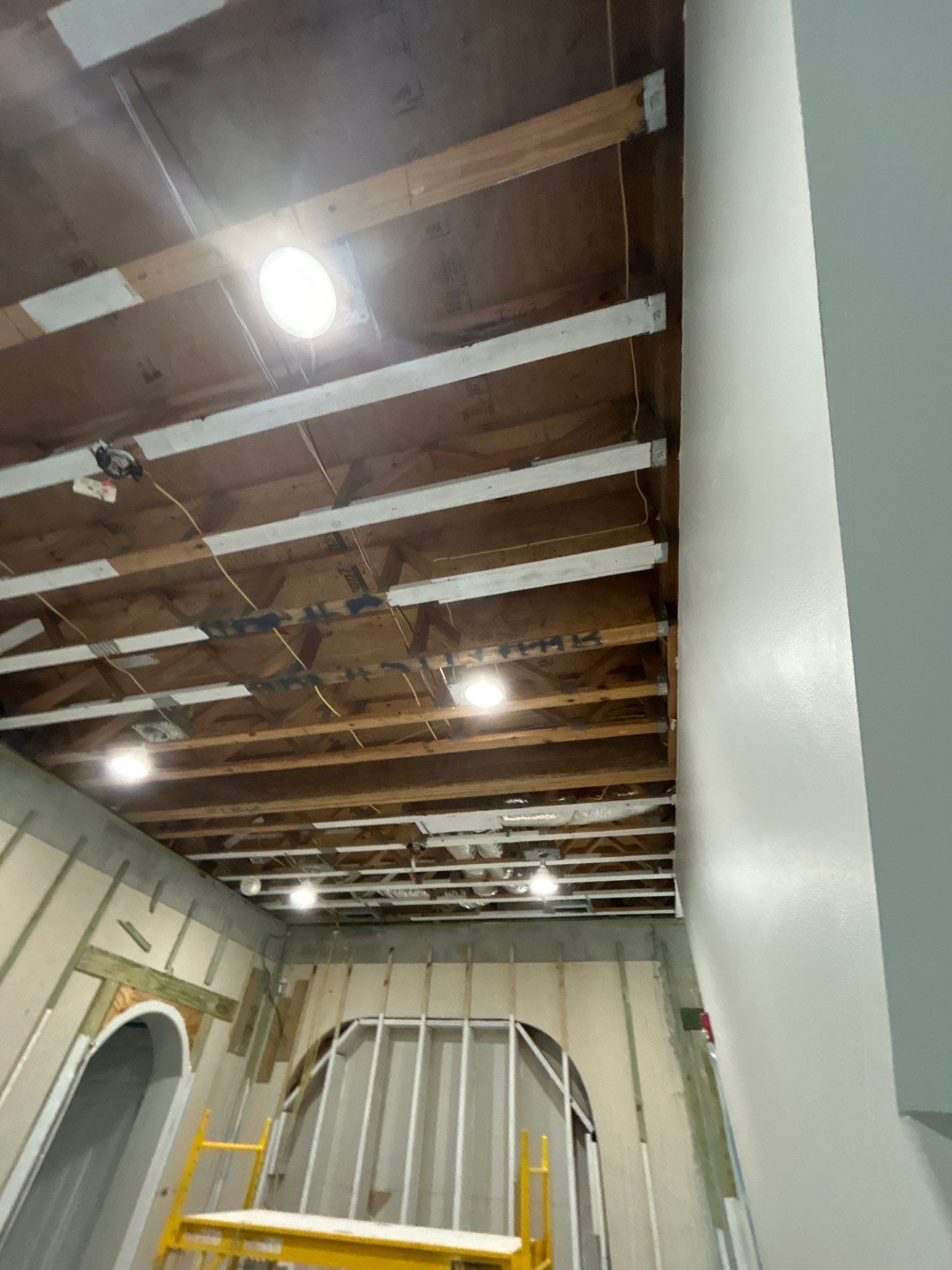 Mold Removal & Remediation In Sarasota by Ampm Restoration Services