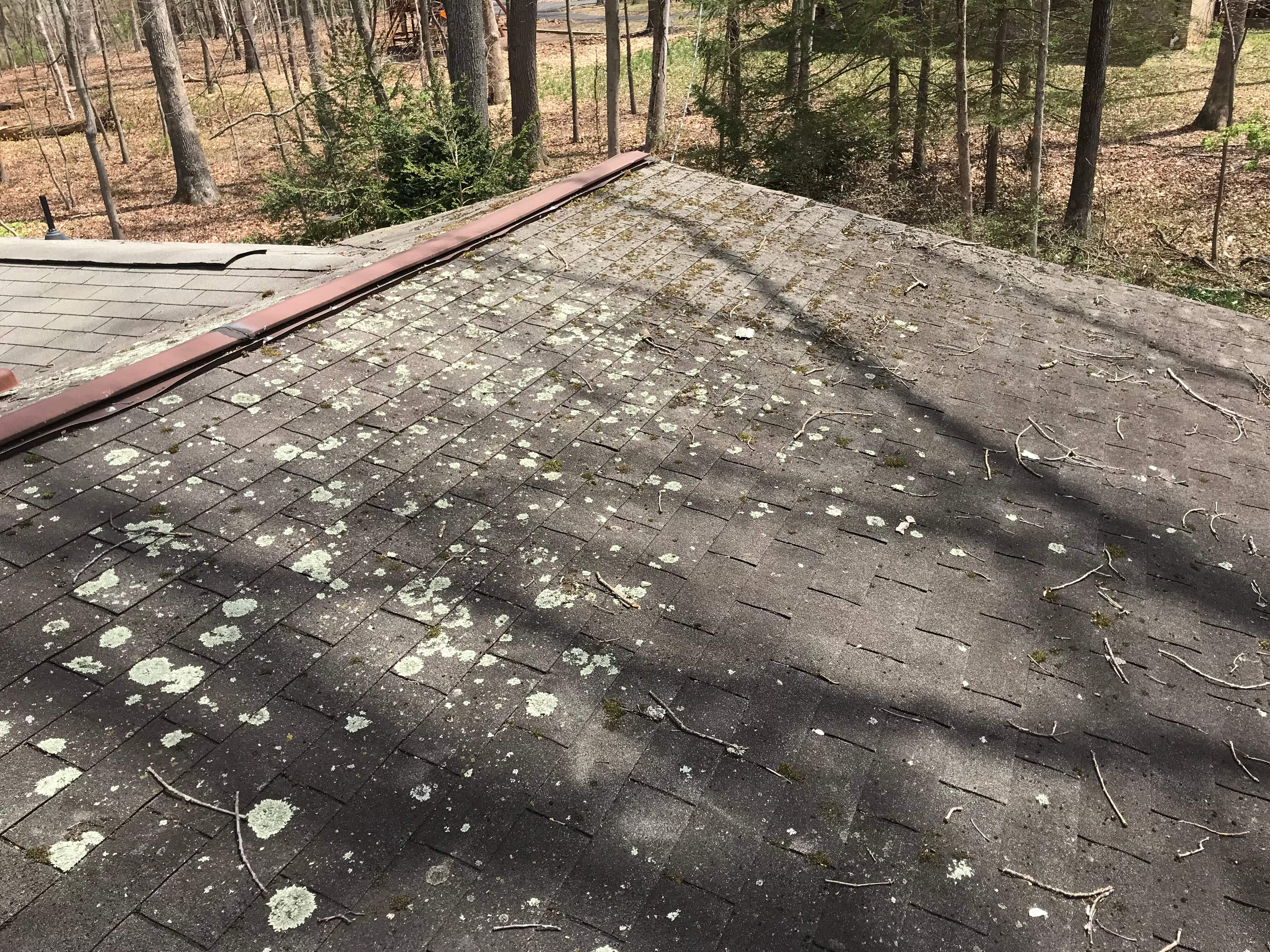 Residential Roofing Installation using CertainTeed Shingles by Alpha Design Services