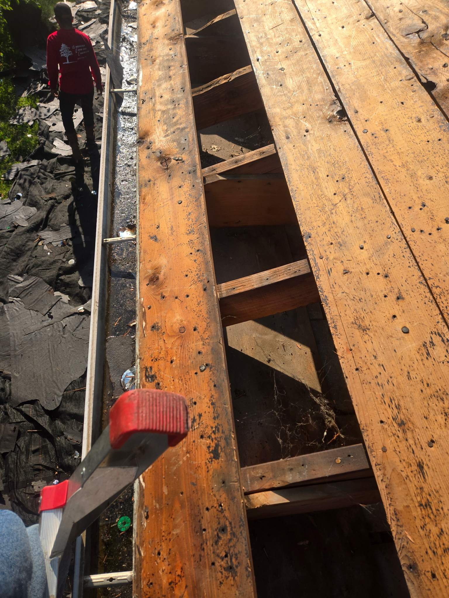 Asphalt Architectural Shingle Installation and Roof Deck Repairs in Lincoln by Star Home